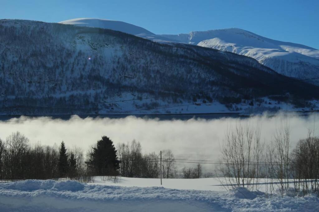 New Magnificent View Apartment Near The Centre Tromso Bagian luar foto