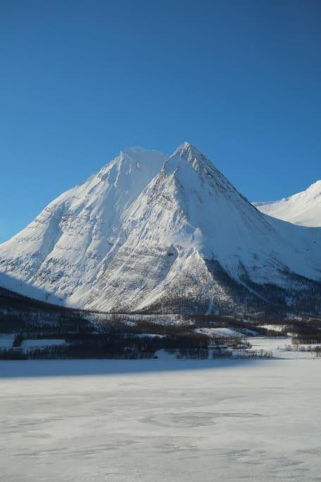 New Magnificent View Apartment Near The Centre Tromso Bagian luar foto